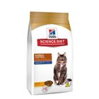 hill-s-gato-7--hairball-control