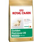 golden-retriever-29-junior_large