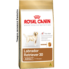 labrador-retriever-30-adult_large