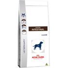 gastro-intestinal-canine_large
