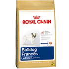 bulldog-frances-adult_large