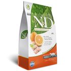 N-E-gato-ad-pei