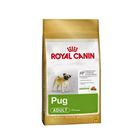 foto-original-Royal