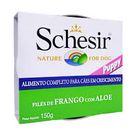 schesir-puppy
