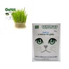 semente-graminha-gatos-pet-pira