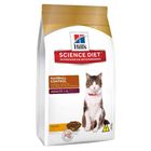 hill-s-gato-adt-hairball-control