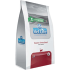 gastro-gato-vet-life