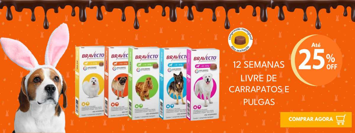 bravecto pascoa
