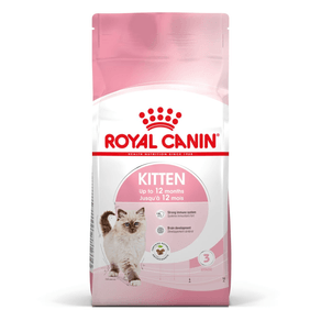 rc-spt-dry-kitten