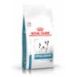 vhn-dermatology-hypoallergenic-small-dog-dry-packshot-b1