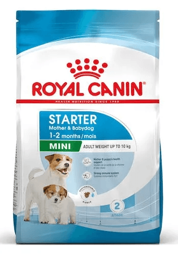Royal Canin Cão Mini Starter Mother & Baby dog - 1kg - femalepet