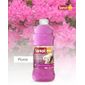 sanol_floral