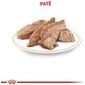 renal_lata