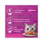 Racao-Whiskas-Sache-Cordeiro
