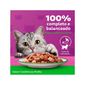 Racao-Whiskas-Sache-Cordeiro