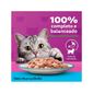 Racao-Whiskas-Sache-Atum