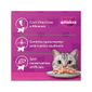Racao-Whiskas-Sache-Atum