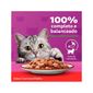 Racao-Whiskas-Sache-Atum