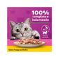 Racao-Whiskas-Sache-Frango