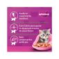 Racao-Whiskas-Sache-Frango-Filhotes