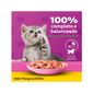 Racao-Whiskas-Sache-Frango-Filhotes