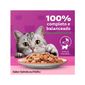 Racao-Whiskas-Sache-Salmao