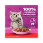 Racao-Whiskas-Sache-Carne-Filhote
