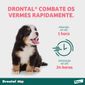 drontal
