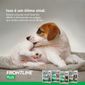 frontline_plus_gatos