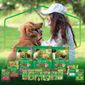 dog_chow